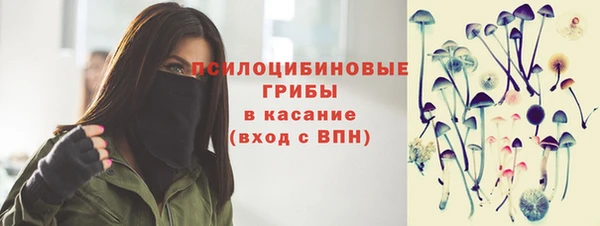 spice Кодинск