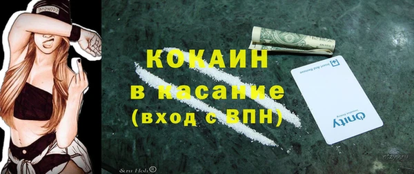 крисы Кущёвская