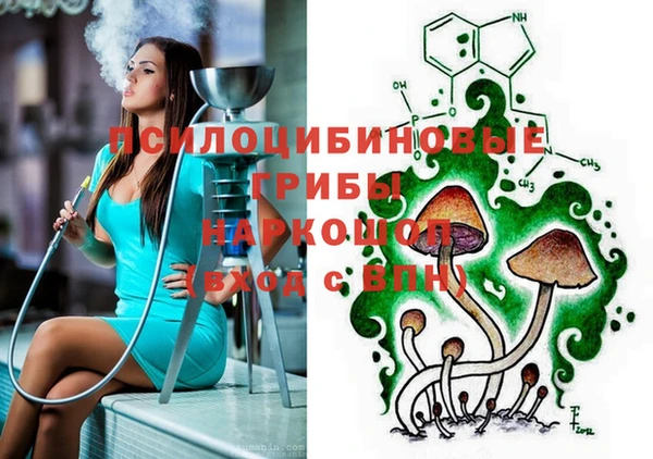 синтетический гашиш Козловка