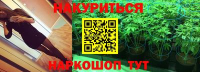 дурь Кингисепп