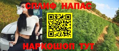 дурь Кингисепп