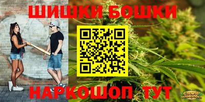 дурь Кингисепп