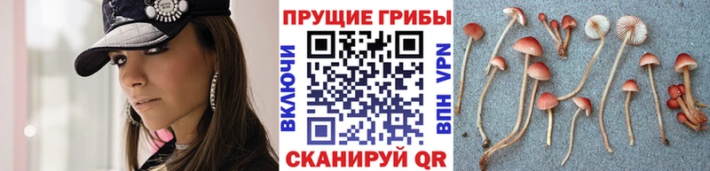 Псилоцибиновые грибы Magic Shrooms Фрязино