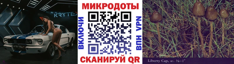 Галлюциногенные грибы мухоморы  Фрязино 