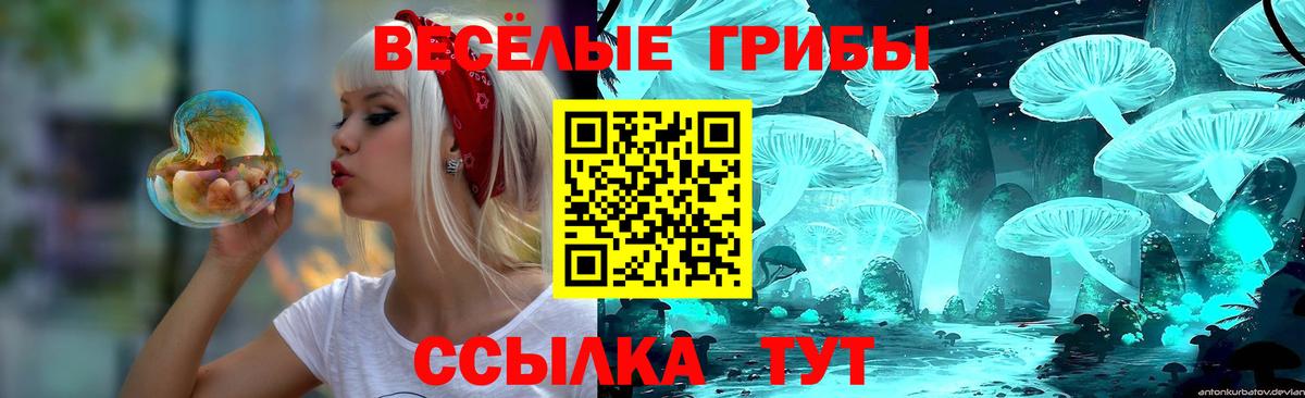 сколько стоит  Фрязино  Галлюциногенные грибы Psilocybe 